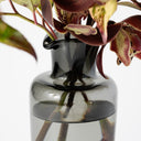 Seppe Carafe
