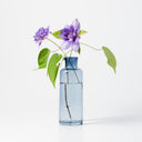 Seppe Carafe