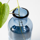 Seppe Carafe