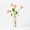 Seppe Carafe