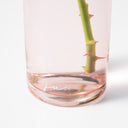 Seppe Carafe