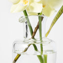 Seppe Carafe